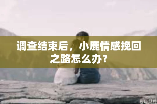调查结束后，小鹿情感挽回之路怎么办？