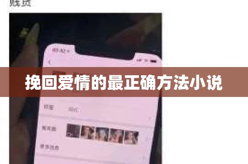 挽回爱情的最正确方法小说