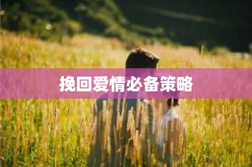 挽回爱情必备策略
