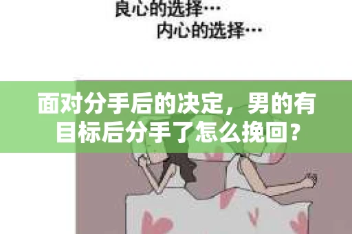 面对分手后的决定，男的有目标后分手了怎么挽回？