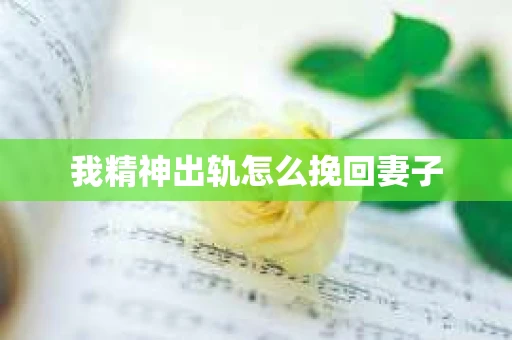 我精神出轨怎么挽回妻子