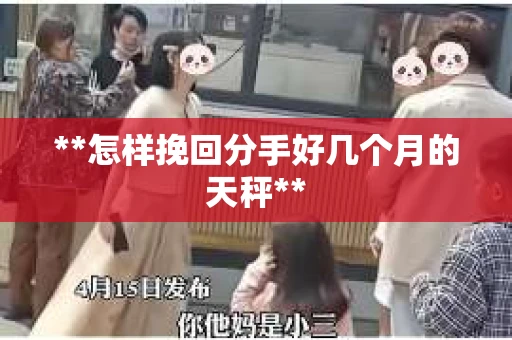 **怎样挽回分手好几个月的天秤**