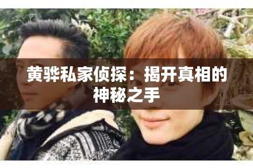 黄骅私家侦探：揭开真相的神秘之手