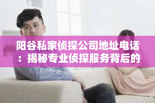 阳谷私家侦探公司地址电话：揭秘专业侦探服务背后的故事