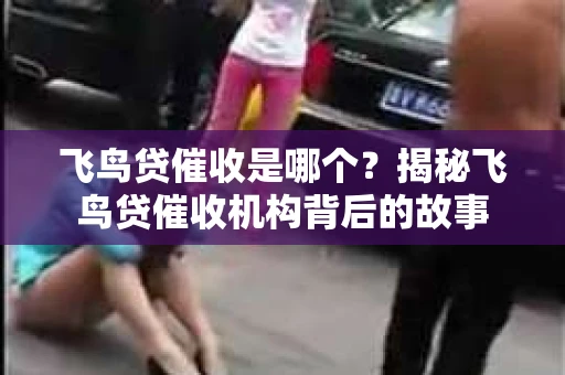 飞鸟贷催收是哪个？揭秘飞鸟贷催收机构背后的故事