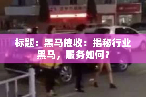 标题：黑马催收：揭秘行业黑马，服务如何？