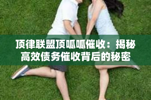 顶律联盟顶呱呱催收：揭秘高效债务催收背后的秘密