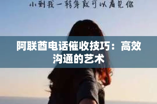 阿联酋电话催收技巧：高效沟通的艺术