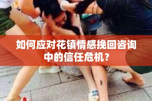 如何应对花镇情感挽回咨询中的信任危机？