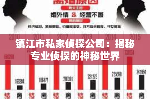 镇江市私家侦探公司：揭秘专业侦探的神秘世界