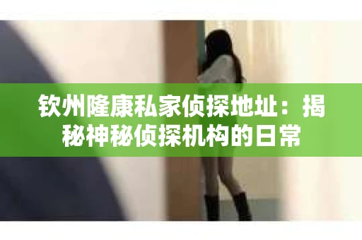 钦州隆康私家侦探地址：揭秘神秘侦探机构的日常