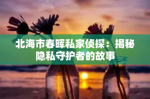 北海市春晖私家侦探：揭秘隐私守护者的故事