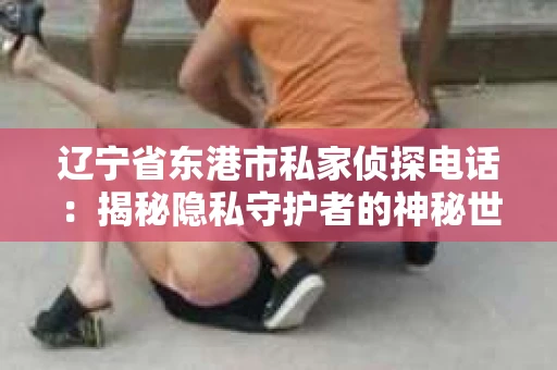 辽宁省东港市私家侦探电话：揭秘隐私守护者的神秘世界