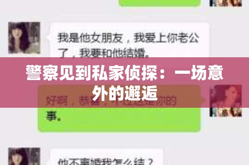 警察见到私家侦探：一场意外的邂逅
