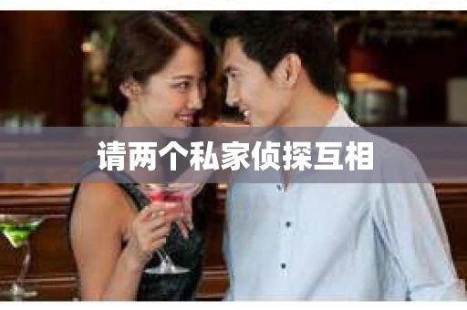 请两个私家侦探互相