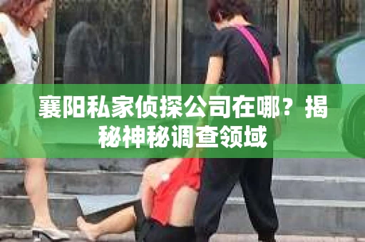 襄阳私家侦探公司在哪？揭秘神秘调查领域