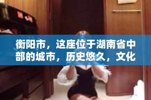 衡阳市，这座位于湖南省中部的城市，历史悠久，文化底蕴深厚。随着社会的发展，人们对于个人隐私的保护意识逐渐增强，私家侦探机构也应运而生。那么，衡阳市是否有私家侦探机构呢？今天，我们就来聊聊这个话题。