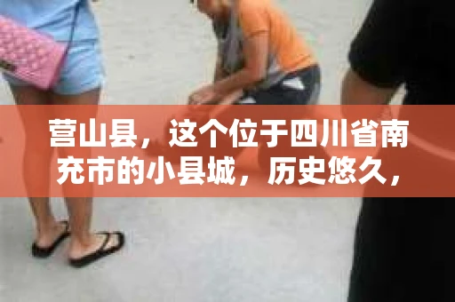 营山县，这个位于四川省南充市的小县城，历史悠久，风景秀丽。但在这个宁静的小县城里，你是否会好奇，有没有私家侦探的存在呢？今天，我就来和大家聊聊这个话题。
