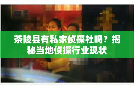 茶陵县有私家侦探社吗？揭秘当地侦探行业现状