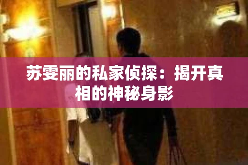 苏雯丽的私家侦探：揭开真相的神秘身影