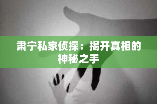 肃宁私家侦探：揭开真相的神秘之手