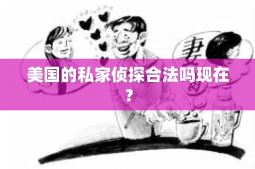 美国的私家侦探合法吗现在？