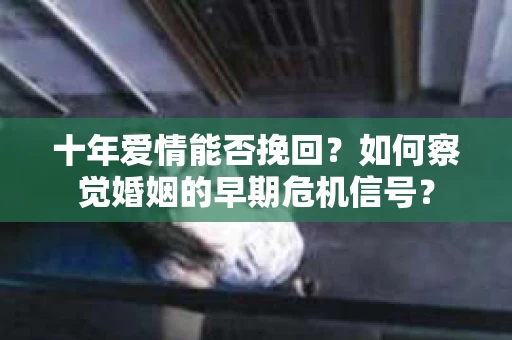 十年爱情能否挽回？如何察觉婚姻的早期危机信号？