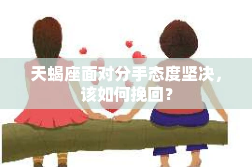 天蝎座面对分手态度坚决，该如何挽回？