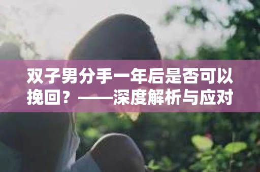 双子男分手一年后是否可以挽回？——深度解析与应对策略