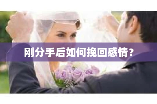 刚分手后如何挽回感情？